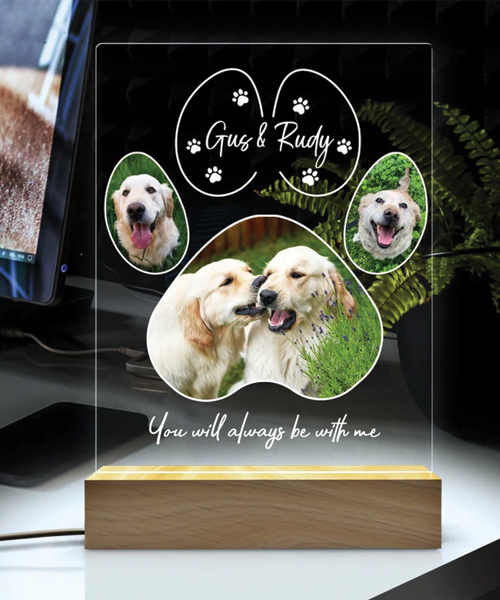 Haustier Gedenk Nachtlicht