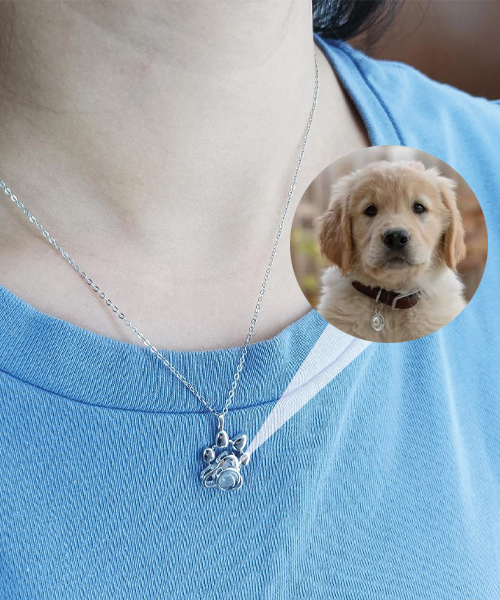 Pfote Drucken Projektion Foto Schluesselanhaenger