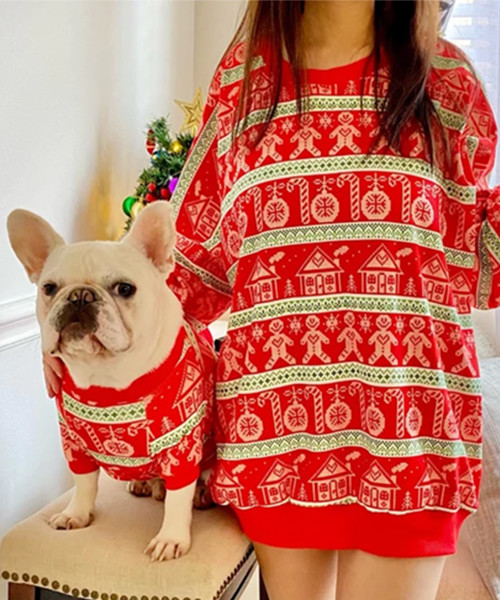 Passende Weihnachts Pullover