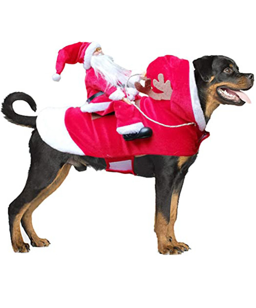 Weihnachtsmann Hund Weihnachten Kostüm